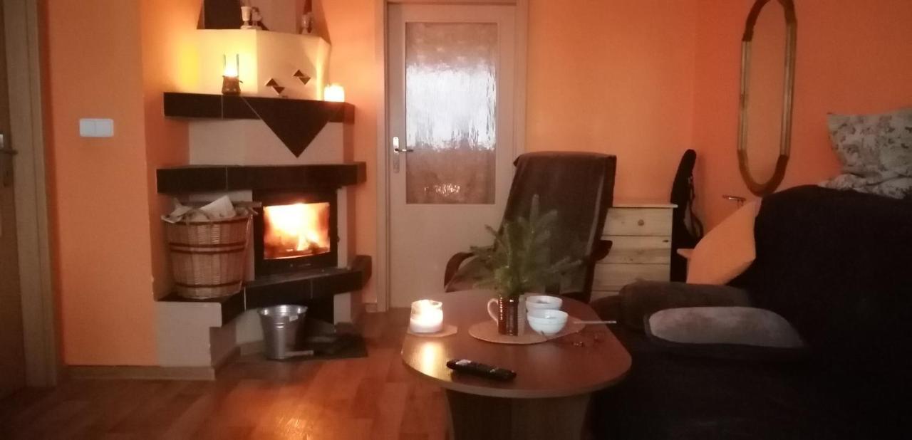 Plne Vybaveny 2+1Byt S Balkonem A Koji Pro Kola A Lyze. Рокитнице-в-Орлицких-горах Экстерьер фото