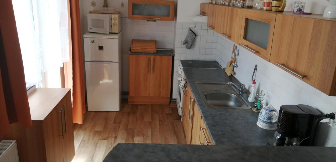 Plne Vybaveny 2+1Byt S Balkonem A Koji Pro Kola A Lyze. Рокитнице-в-Орлицких-горах Экстерьер фото