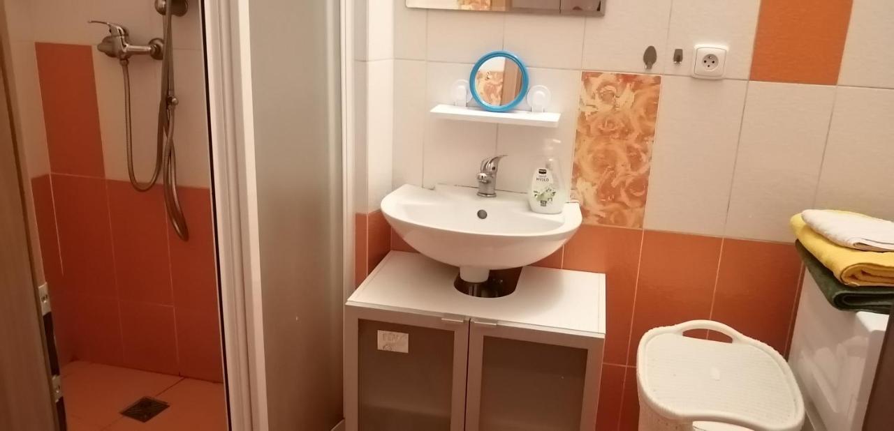 Plne Vybaveny 2+1Byt S Balkonem A Koji Pro Kola A Lyze. Рокитнице-в-Орлицких-горах Экстерьер фото